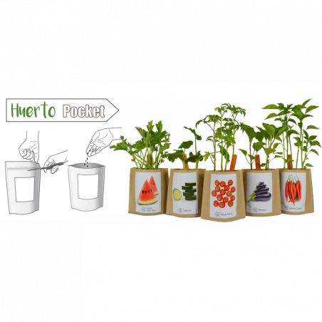 KIT CULTIVO BOLSA TOMATE CHERRY