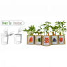 KIT CULTIVO BOLSA TOMATE CHERRY