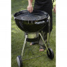 WEBER GBS PARRILLA