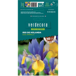 BULBOS IRIS AZUL - AMARILLO VERDECORA 10 UDS