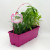 MIX FRESH AROMATICAS JARDINERA 40CM