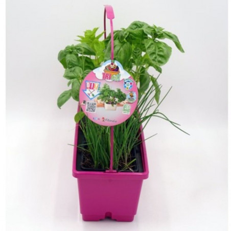 MIX FRESH AROMATICAS JARDINERA 40CM