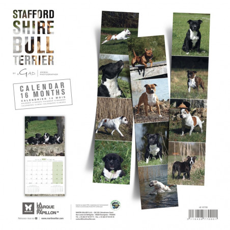 CALENDARIO  STAFFORD SHIRE BULL TERRIER