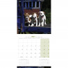CALENDARIO BRITISH