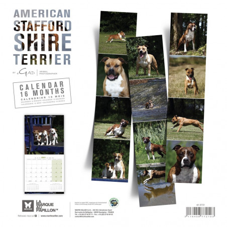 CALENDARIO BRITISH