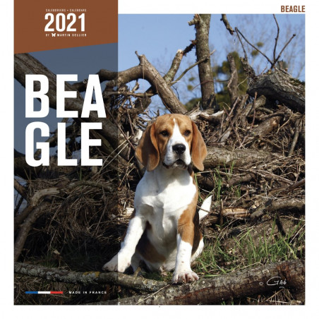 CALENDARIO BEAGLE
