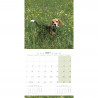 CALENDARIO BEAGLE