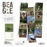 CALENDARIO BEAGLE