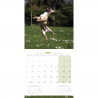 CALENDARIO BULLDOG FRANCES