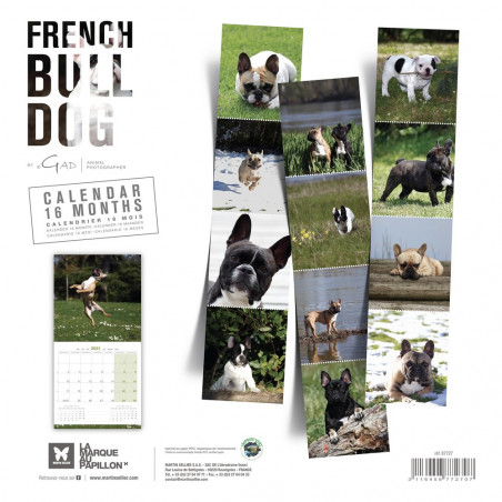 CALENDARIO BULLDOG FRANCES