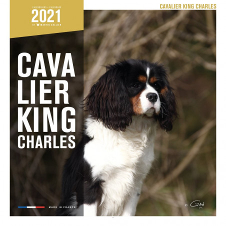 CALENDARIO CAVALIER KING CHARLES