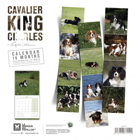 CALENDARIO CAVALIER KING CHARLES