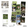CALENDARIO CAVALIER KING CHARLES
