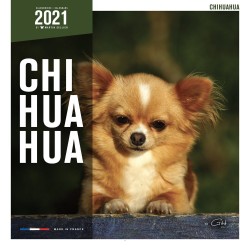 CALENDARIO CHIHUAHUA