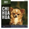 CALENDARIO CHIHUAHUA
