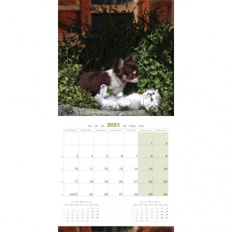 CALENDARIO CHIHUAHUA