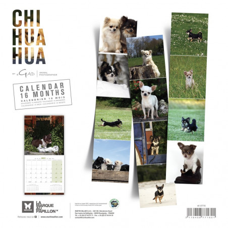 CALENDARIO CHIHUAHUA