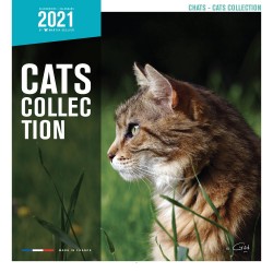 CALENDARIO GATOS