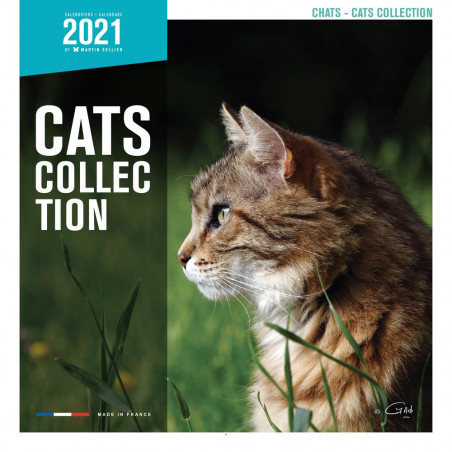 CALENDARIO GATOS