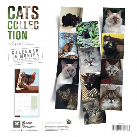CALENDARIO GATOS