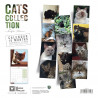CALENDARIO GATOS