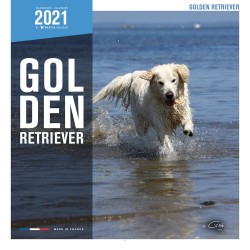 CALENDARIO GOLDEN RETRIEVER