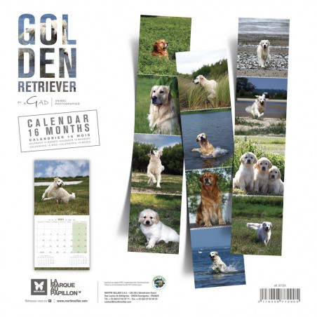 CALENDARIO GOLDEN RETRIEVER