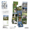 CALENDARIO GOLDEN RETRIEVER