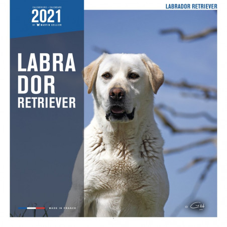 CALENDARIO LABRADOR