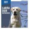 CALENDARIO LABRADOR