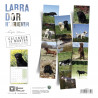 CALENDARIO LABRADOR