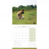 CALENDARIO PASTOR BELGA