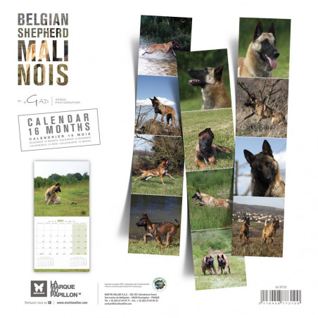 CALENDARIO PASTOR BELGA