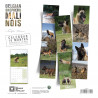 CALENDARIO PASTOR BELGA