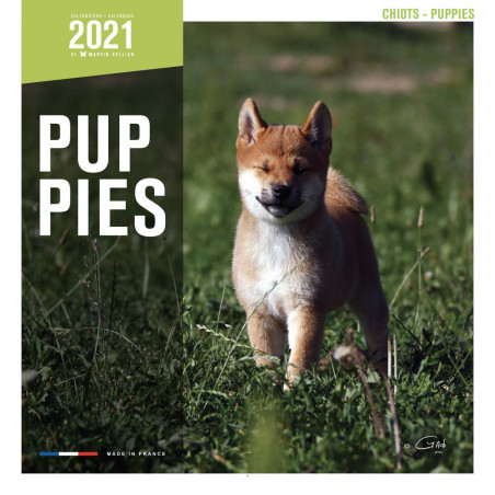 CALENDARIO PUPPIES