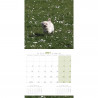 CALENDARIO PUPPIES