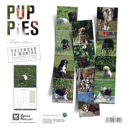CALENDARIO PUPPIES