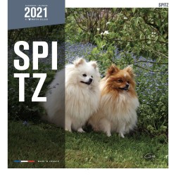 CALENDARIO POMERANIA