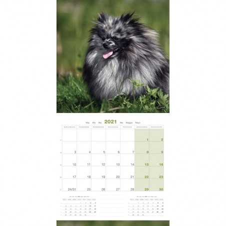 CALENDARIO POMERANIA
