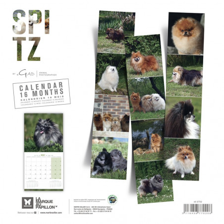 CALENDARIO POMERANIA