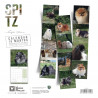 CALENDARIO POMERANIA