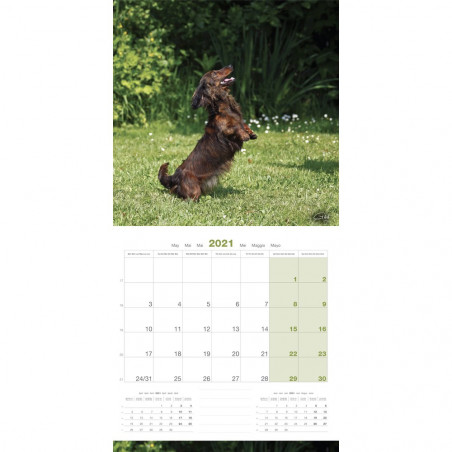 CALENDARIO TECKEL