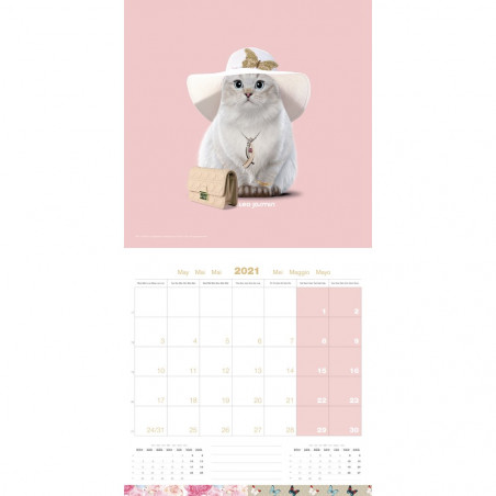 CALENDARIO PERROS DE TRINEO