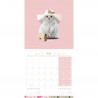 CALENDARIO PERROS DE TRINEO