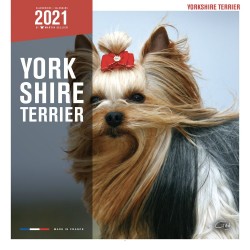 CALENDARIO YORKSHIRE
