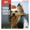 CALENDARIO YORKSHIRE