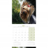 CALENDARIO YORKSHIRE