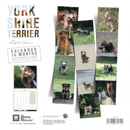 CALENDARIO YORKSHIRE