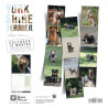 CALENDARIO YORKSHIRE