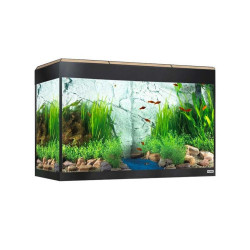 KIT ACUARIO FLUVAL ROMA 125L ROBLE BLUETOOTH